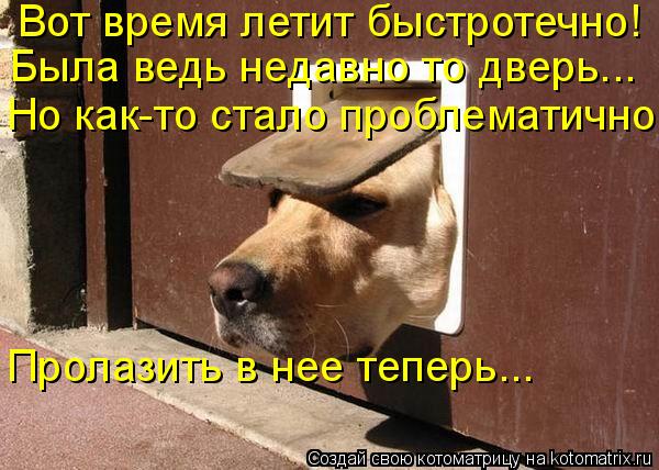Вот время летит быстротечно! Пролазить в нее теперь... Но как-то стало проблематично Была ведь недавн... Котоматрица: Вот время летит быстротечно! Пролазить в нее теперь... Но как-то стало проблематично Была ведь недавно то дверь...