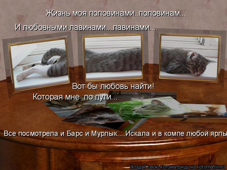 Жизнь моя половинами..половинам... И любовными лавинами...лавинами.... Вот бы любовь найти! Которая м... Котоматрица: Жизнь моя половинами..половинам... И любовными лавинами...лавинами.... Вот бы любовь найти! Которая мне по пути... Все посмотрела и Барс и Мурлы