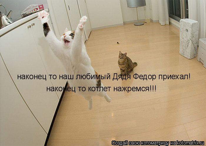 наконец то наш любимый Дядя Федор приехал! наконец то котлет нажремся!!!... Котоматрица: наконец то наш любимый Дядя Федор приехал! наконец то котлет нажремся!!!