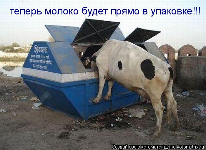 теперь молоко будет прямо в упаковке!!!... Котоматрица: теперь молоко будет прямо в упаковке!!!