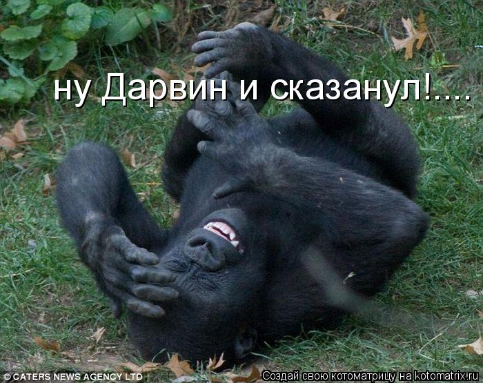 ну Дарвин и сказанул!....... Котоматрица: ну Дарвин и сказанул!....