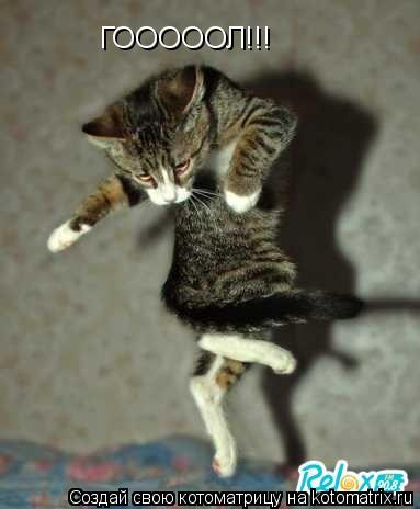 ГОООООЛ!!!... Котоматрица: ГОООООЛ!!!