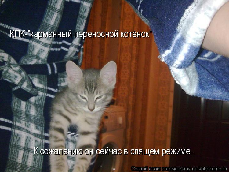 КПК-"карманный переносной котёнок" КПК-"карманный переносной котёнок" К сожалению он сейчас в спящем ... Котоматрица: КПК-"карманный переносной котёнок" КПК-"карманный переносной котёнок" К сожалению он сейчас в спящем режиме..