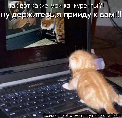 так вот какие мои канкуренты?! ну держитесь,я прийду к вам!!!!!... Котоматрица: так вот какие мои канкуренты?! ну держитесь,я прийду к вам!!!!!