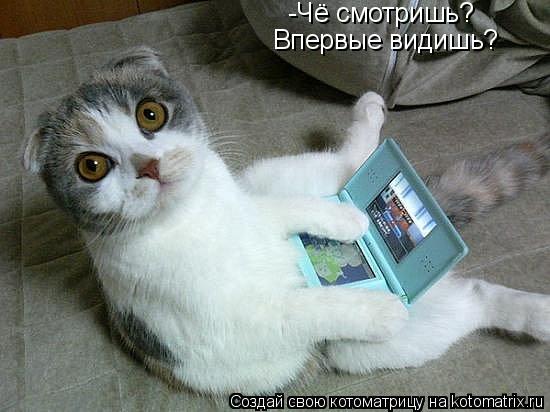 Впервые видишь? -Чё смотришь?... Котоматрица: Впервые видишь? -Чё смотришь?