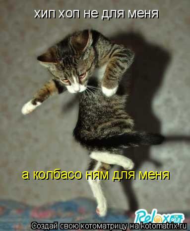 хип хоп не для меня а колбасо ням для меня... Котоматрица: хип хоп не для меня а колбасо ням для меня