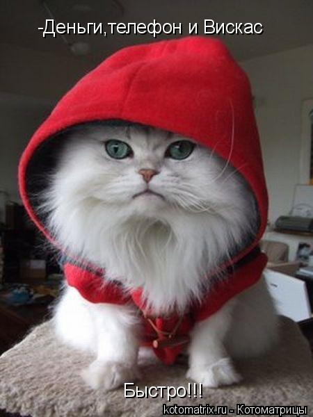-Деньги,телефон и Вискас Быстро!!!... Котоматрица: -Деньги,телефон и Вискас Быстро!!!