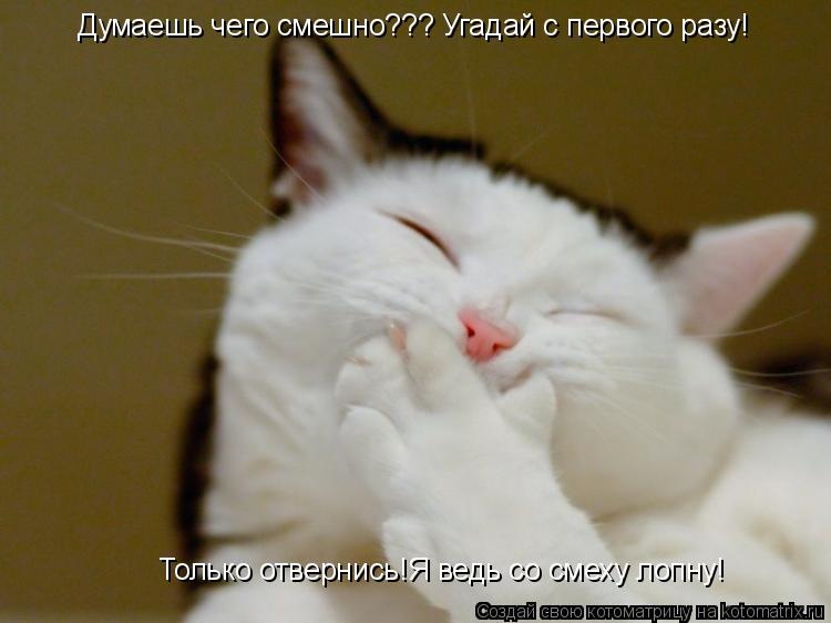 Думаешь чего смешно??? Угадай с первого разу! Только отвернись!Я ведь со смеху лопну!... Котоматрица: Думаешь чего смешно??? Угадай с первого разу! Только отвернись!Я ведь со смеху лопну!