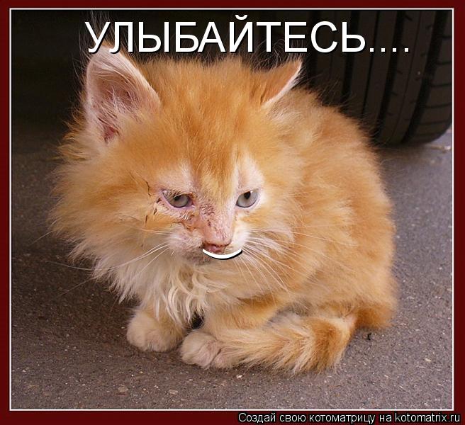) УЛЫБАЙТЕСЬ....... Котоматрица: ) УЛЫБАЙТЕСЬ....