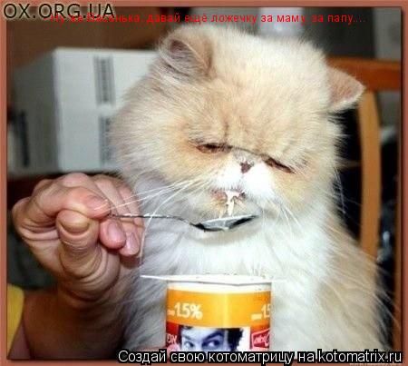 - Ну же Васенька, давай ещё ложечку за маму, за папу....... Котоматрица: - Ну же Васенька, давай ещё ложечку за маму, за папу....