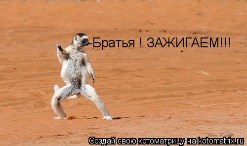 -Братья ! ЗАЖИГАЕМ!!!... Котоматрица: -Братья ! ЗАЖИГАЕМ!!!