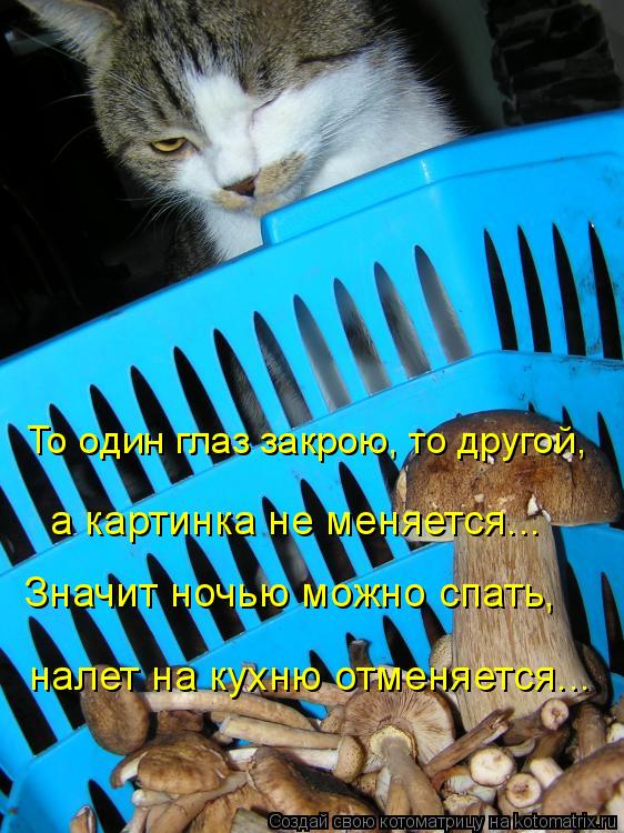 Котоматрица: То один глаз закрою, то другой,  налет на кухню отменяется...  Значит ночью можно спать,  а картинка не меняется...