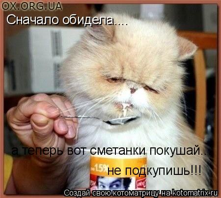 Сначало обидела.... а теперь вот сметанки покушай... не подкупишь!!!... Котоматрица: Сначало обидела.... а теперь вот сметанки покушай... не подкупишь!!!