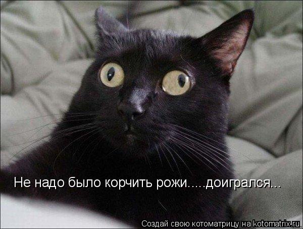 Не надо было корчить рожи.....доигрался...... Котоматрица: Не надо было корчить рожи.....доигрался...