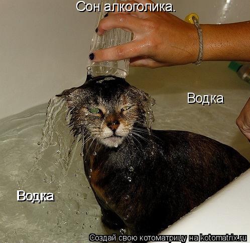 Сон алкоголика. Сон алкоголика. Водка Водка Водка... Котоматрица: Сон алкоголика. Сон алкоголика. Водка Водка Водка