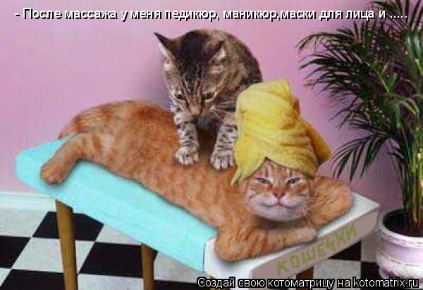 - После массажа у меня педикюр, маникюр,маски для лица и ........ Котоматрица: - После массажа у меня педикюр, маникюр,маски для лица и .....