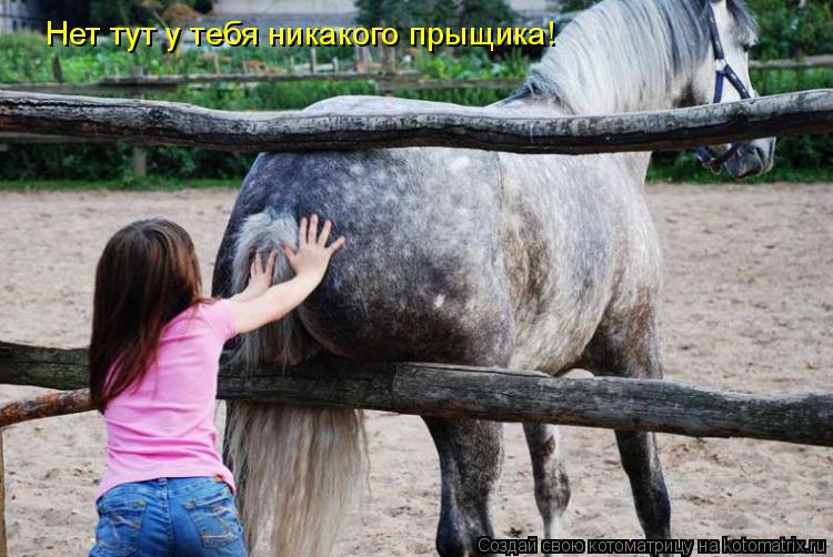Нет тут у тебя никакого прыщика!... Котоматрица: Нет тут у тебя никакого прыщика!