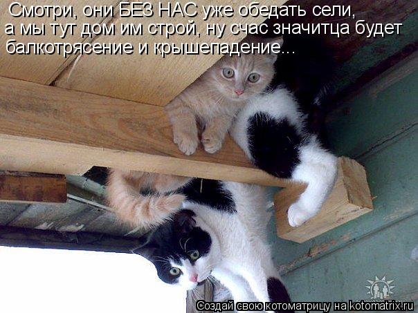 Смотри, они БЕЗ НАС уже обедать сели, а мы тут дом им строй, ну счас значитца будет балкотрясение и к... Котоматрица: Смотри, они БЕЗ НАС уже обедать сели, а мы тут дом им строй, ну счас значитца будет балкотрясение и крышепадение...
