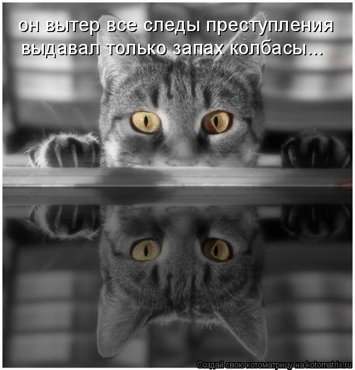 он вытер все следы преступления выдавал только запах колбасы...... Котоматрица: он вытер все следы преступления выдавал только запах колбасы...