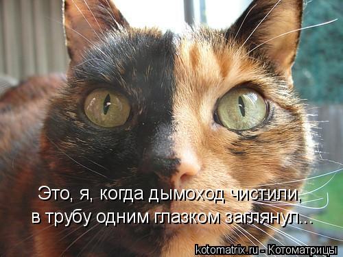 Это, я, когда дымоход чистили, в трубу одним глазком заглянул...... Котоматрица: Это, я, когда дымоход чистили, в трубу одним глазком заглянул...