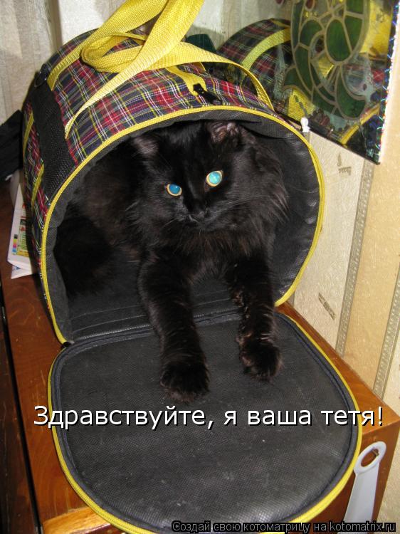 Здравствуйте, я ваша тетя!... Котоматрица: Здравствуйте, я ваша тетя!