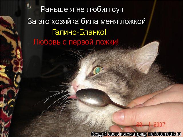 Раньше я не любил суп За это хозяйка била меня ложкой Галино-Бланко! Любовь с первой ложки!... Котоматрица: Раньше я не любил суп За это хозяйка била меня ложкой Галино-Бланко! Любовь с первой ложки!