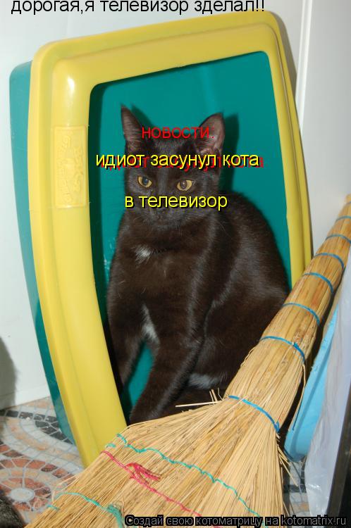 дорогая,я телевизор зделал!! новости: идиот засунул кота идиот засунул кота в телевизор... Котоматрица: дорогая,я телевизор зделал!! новости: идиот засунул кота идиот засунул кота в телевизор