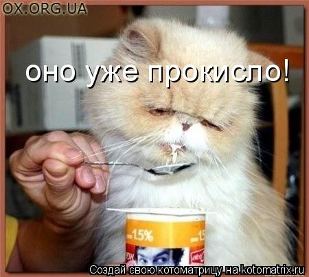 оно уже прокисло!... Котоматрица: оно уже прокисло!