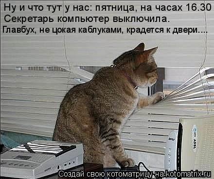 Ну и что тут у нас: пятница, на часах 16.30 Секретарь компьютер выключила. Главбух, не цокая каблукам... Котоматрица: Ну и что тут у нас: пятница, на часах 16.30 Секретарь компьютер выключила. Главбух, не цокая каблуками, крадется к двери....