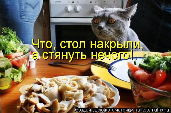 Что, стол накрыли, а стянуть нечего!... Котоматрица: Что, стол накрыли, а стянуть нечего!