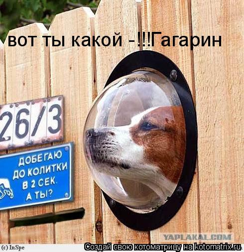 вот ты какой -!!!Гагарин... Котоматрица: вот ты какой -!!!Гагарин