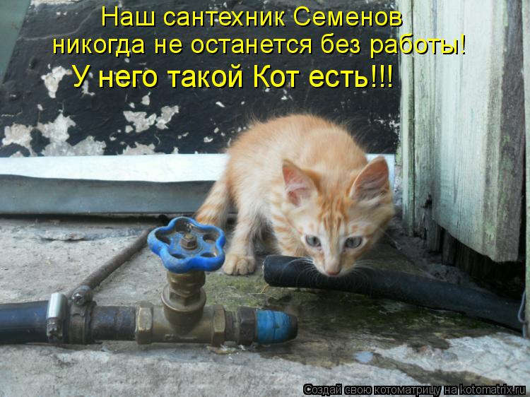 Наш сантехник Семенов никогда не останется без работы! У него такой Кот есть!!!... Котоматрица: Наш сантехник Семенов никогда не останется без работы! У него такой Кот есть!!!