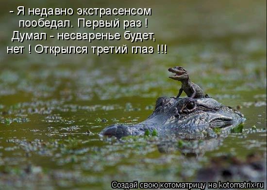 - Я недавно экстрасенсом пообедал. Первый раз ! Думал - несваренье будет, нет ! Открылся третий глаз... Котоматрица: - Я недавно экстрасенсом пообедал. Первый раз ! Думал - несваренье будет, нет ! Открылся третий глаз !!!