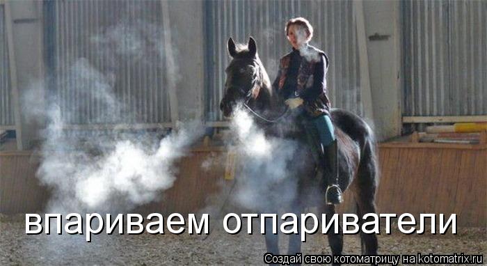 впариваем отпариватели... Котоматрица: впариваем отпариватели
