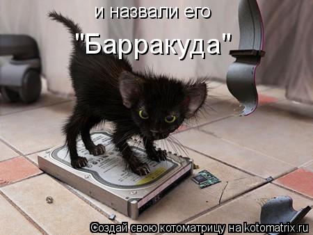 и назвали его "Барракуда"... Котоматрица: и назвали его "Барракуда"
