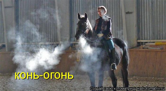 конь-огонь... Котоматрица: конь-огонь
