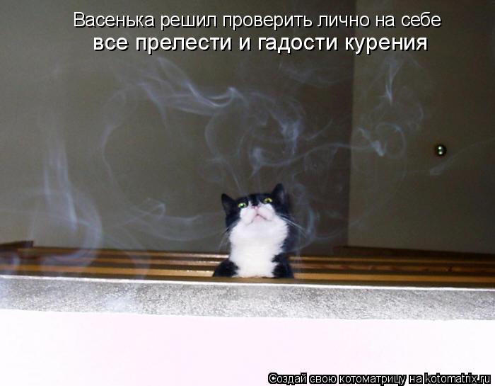 Васенька решил проверить лично на себе все прелести и гадости курения... Котоматрица: Васенька решил проверить лично на себе все прелести и гадости курения
