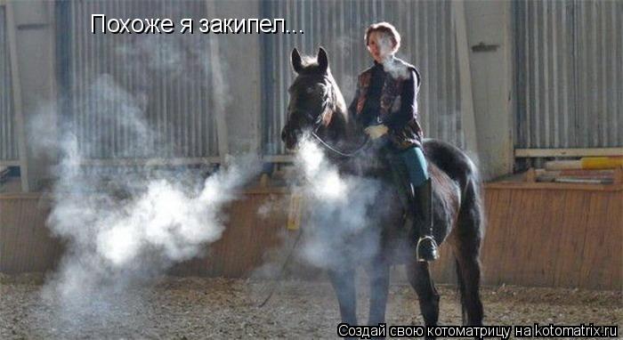 Похоже я закипел...... Котоматрица: Похоже я закипел...
