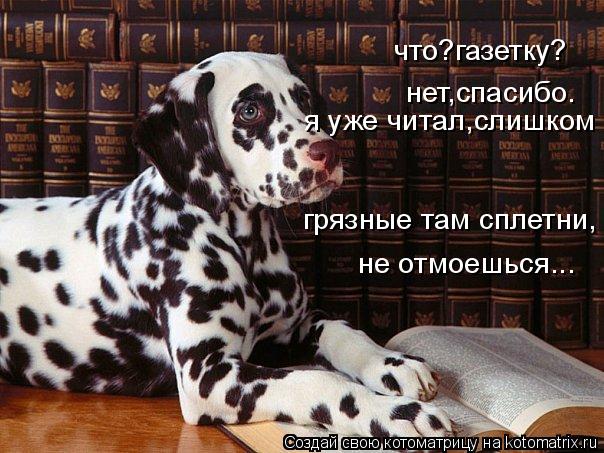 что?газетку? нет,спасибо. я уже читал,слишком грязные там сплетни, не отмоешься...... Котоматрица: что?газетку? нет,спасибо. я уже читал,слишком грязные там сплетни, не отмоешься...