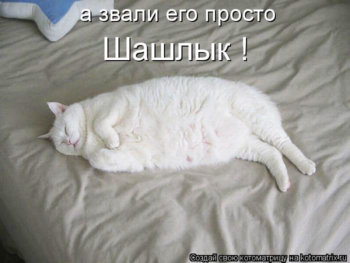 а звали его просто Шашлык !... Котоматрица: а звали его просто Шашлык !