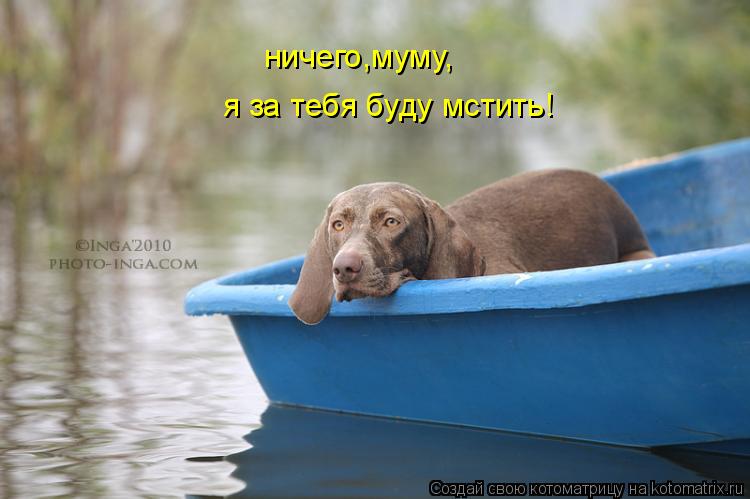 ничего,муму, ничего,муму, я за тебя буду мстить!... Котоматрица: ничего,муму, ничего,муму, я за тебя буду мстить!