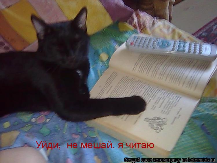 Уйди, не мешай. я читаю... Котоматрица: Уйди, не мешай. я читаю