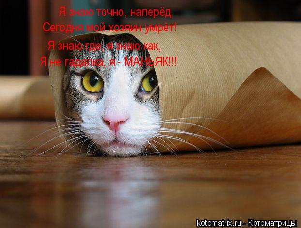 Я знаю точно, наперёд Сегодня мой хозяин умрёт! Я знаю где, я знаю как, Я не гадалка, я - МАНЬЯК!!!... Котоматрица: Я знаю точно, наперёд Сегодня мой хозяин умрёт! Я знаю где, я знаю как, Я не гадалка, я - МАНЬЯК!!!