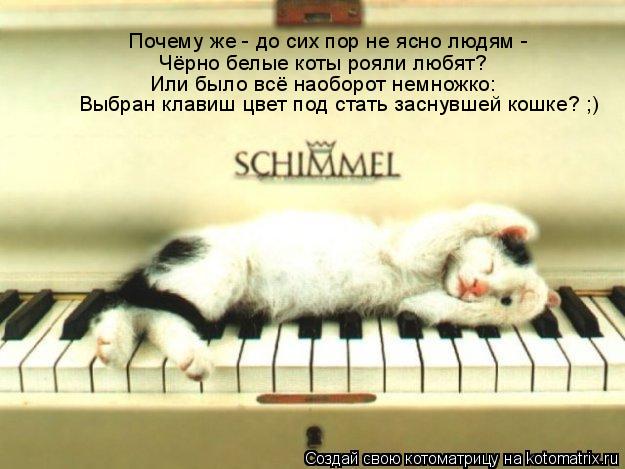 Почему же - до сих пор не ясно людям - Чёрно белые коты рояли любят? Или было всё наоборот немножко:... Котоматрица: Почему же - до сих пор не ясно людям - Чёрно белые коты рояли любят? Или было всё наоборот немножко: Выбран клавиш цвет под стать заснувшей ко