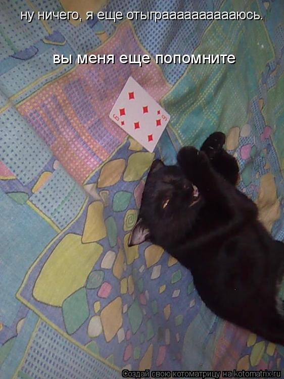 ну ничего, я еще отыграаааааааааюсь. вы меня еще попомните... Котоматрица: ну ничего, я еще отыграаааааааааюсь. вы меня еще попомните