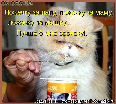 Ложечку за папу, ложечку за маму, ложечку за мышку... Лучше б мне сосиску!..... Котоматрица: Ложечку за папу, ложечку за маму, ложечку за мышку... Лучше б мне сосиску!..