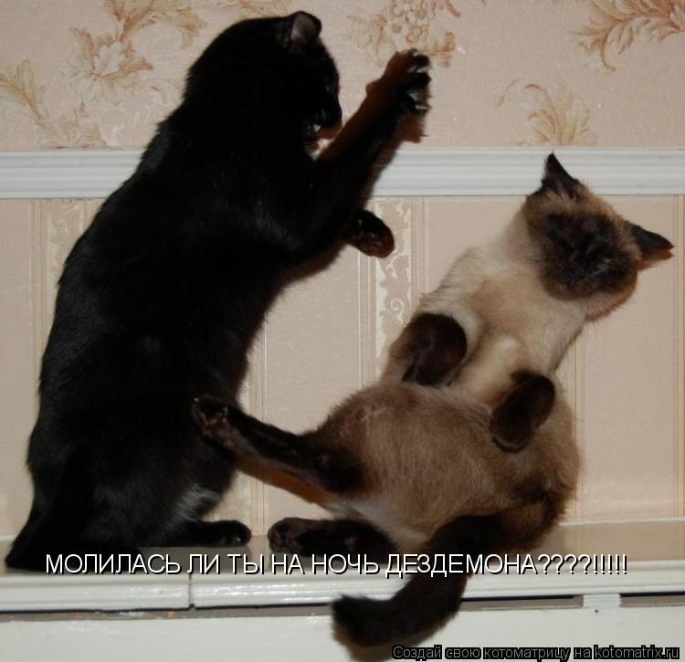 МОЛИЛАСЬ ЛИ ТЫ НА НОЧЬ ДЕЗДЕМОНА????!!!!!... Котоматрица: МОЛИЛАСЬ ЛИ ТЫ НА НОЧЬ ДЕЗДЕМОНА????!!!!!