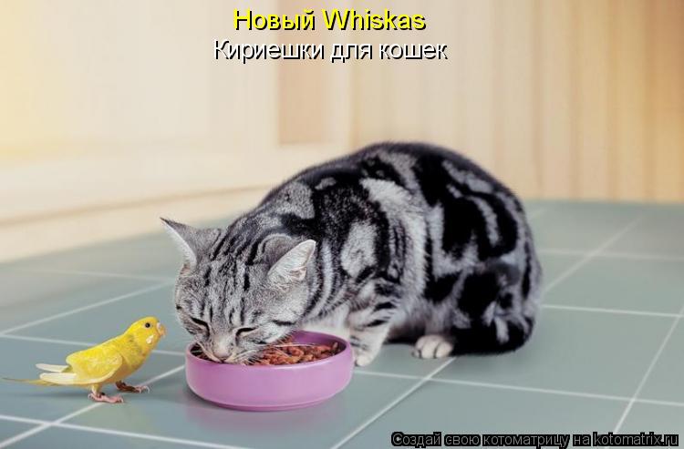 Новый Whiskas Кириешки для кошек... Котоматрица: Новый Whiskas Кириешки для кошек