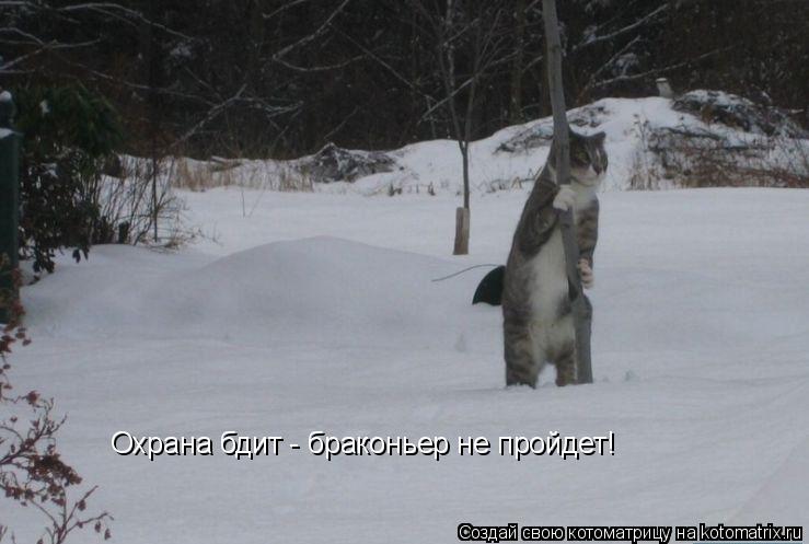 Охрана бдит - браконьер не пройдет!... Котоматрица: Охрана бдит - браконьер не пройдет!