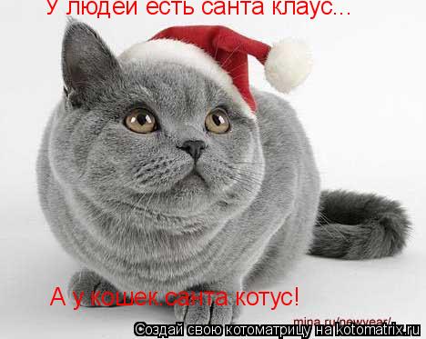 У людей есть санта клаус... А у кошек.санта котус!... Котоматрица: У людей есть санта клаус... А у кошек.санта котус!